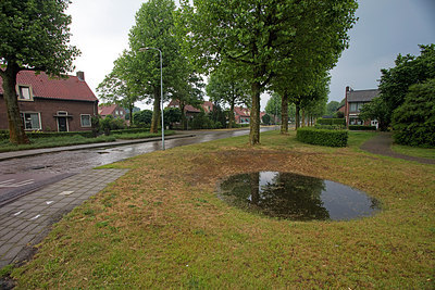 BUITEN BEELD Foto: 311052