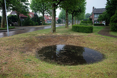 BUITEN BEELD Foto: 311054