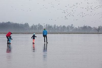 BUITEN BEELD Foto: 311070