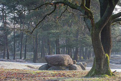 BUITEN BEELD Foto: 311256