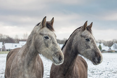 BUITEN BEELD Foto: 311269