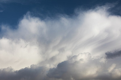 BUITEN BEELD Foto: 311278