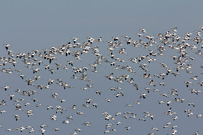 BUITEN BEELD Foto: 311485