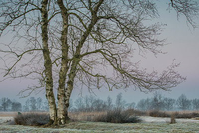 BUITEN BEELD Foto: 311487