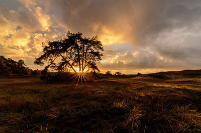 BUITEN BEELD Foto: 311515
