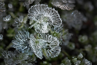 BUITEN BEELD Foto: 311588