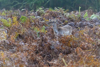 BUITEN BEELD Foto: 311635