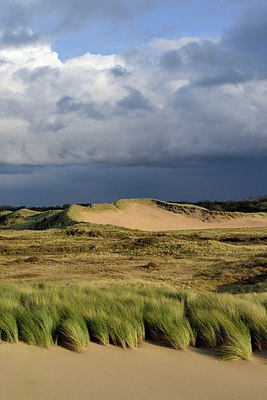 BUITEN BEELD Foto: 311662