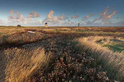 BUITEN BEELD Foto: 311668