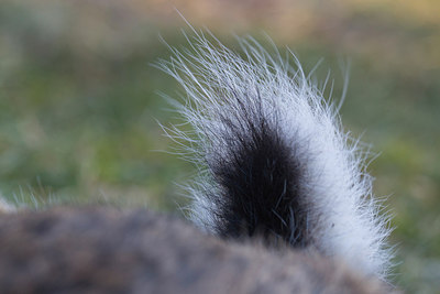 BUITEN BEELD Foto: 311742