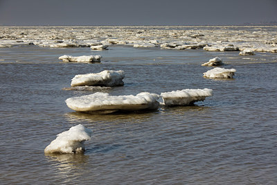 BUITEN BEELD Foto: 311800