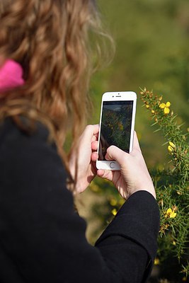 BUITEN BEELD Foto: 311867