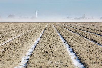 BUITEN BEELD Foto: 311870