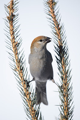 BUITEN BEELD Foto: 311894