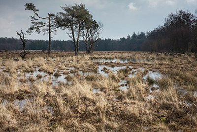 BUITEN BEELD Foto: 312007