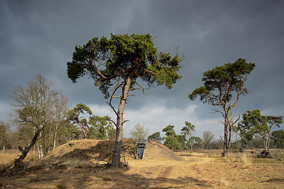 BUITEN BEELD Foto: 312008