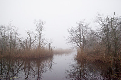 BUITEN BEELD Foto: 312020
