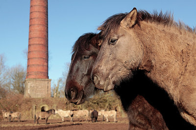 BUITEN BEELD Foto: 312029