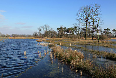 BUITEN BEELD Foto: 312049