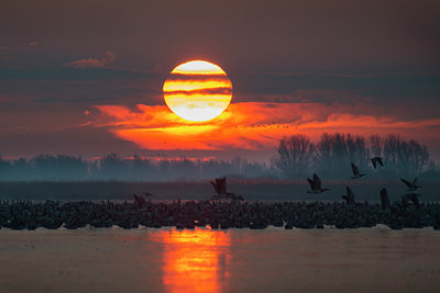 BUITEN BEELD Foto: 312089