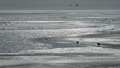 BUITEN BEELD Foto: 312096