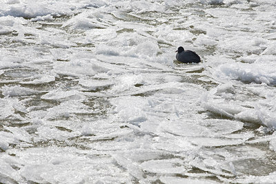BUITEN BEELD Foto: 312115