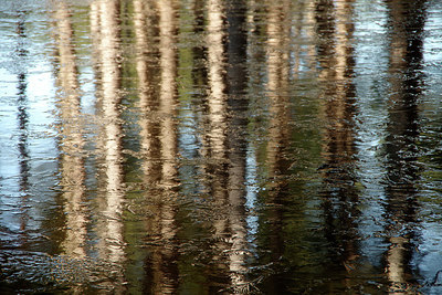 BUITEN BEELD Foto: 312145