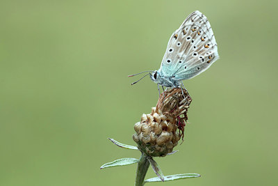 BUITEN BEELD Foto: 312154