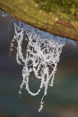 BUITEN BEELD Foto: 312302