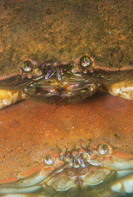 BUITEN BEELD Foto: 312445