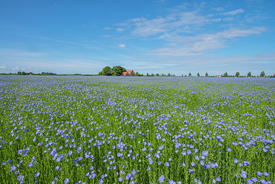 BUITEN BEELD Foto: 312453