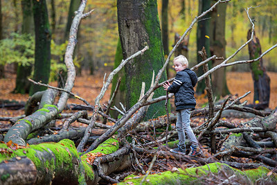 BUITEN BEELD Foto: 312488