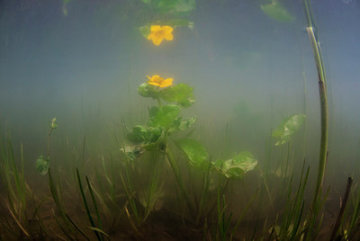 BUITEN BEELD Foto: 312606