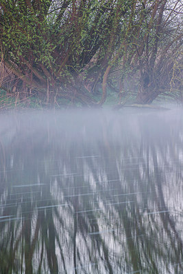 BUITEN BEELD Foto: 312701