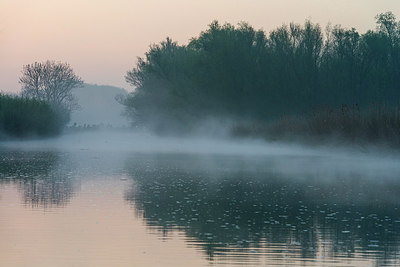 BUITEN BEELD Foto: 312708