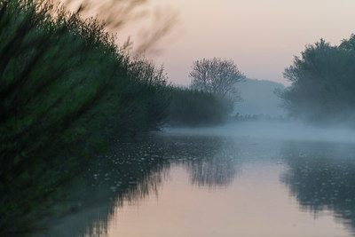 BUITEN BEELD Foto: 312715