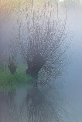 BUITEN BEELD Foto: 312731