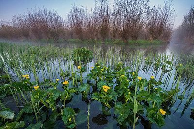 BUITEN BEELD Foto: 312758