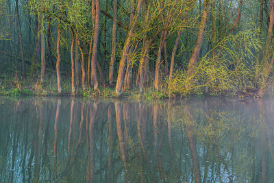 BUITEN BEELD Foto: 312799