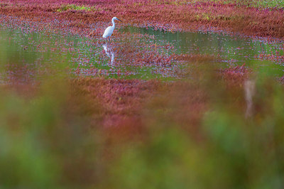 BUITEN BEELD Foto: 312820