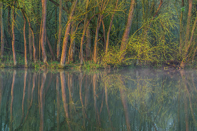BUITEN BEELD Foto: 312851