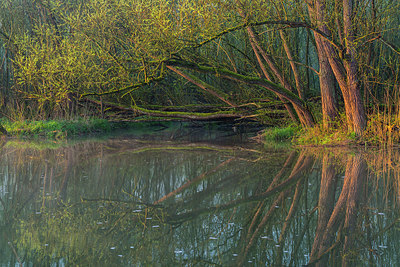 BUITEN BEELD Foto: 312862