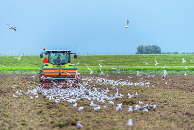 BUITEN BEELD Foto: 312950