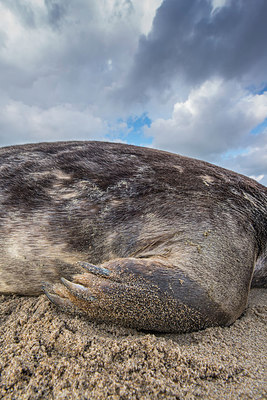 BUITEN BEELD Foto: 312967