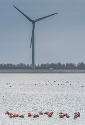 BUITEN BEELD Foto: 313040
