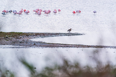 BUITEN BEELD Foto: 313053