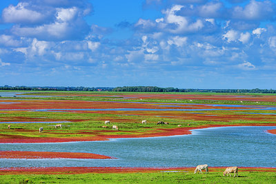 BUITEN BEELD Foto: 313173