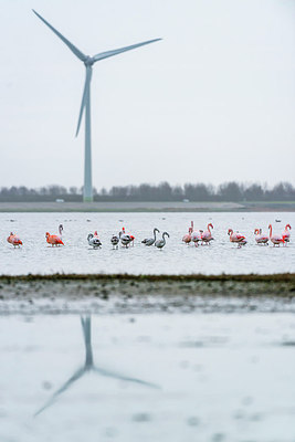 BUITEN BEELD Foto: 313186