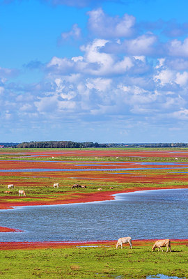 BUITEN BEELD Foto: 313187