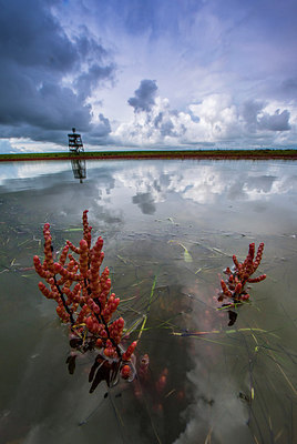BUITEN BEELD Foto: 313248